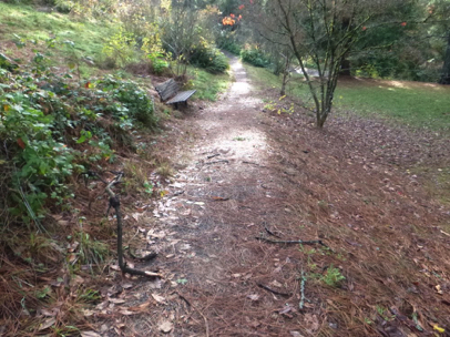 Natural surface trail with drop-off on the right side